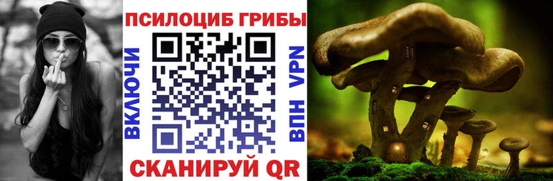 Галлюциногенные грибы мицелий  Алдан 